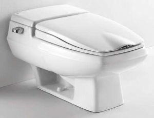 座便器选购全攻略 从品牌、价格到图片，助您打造理想卫浴空间